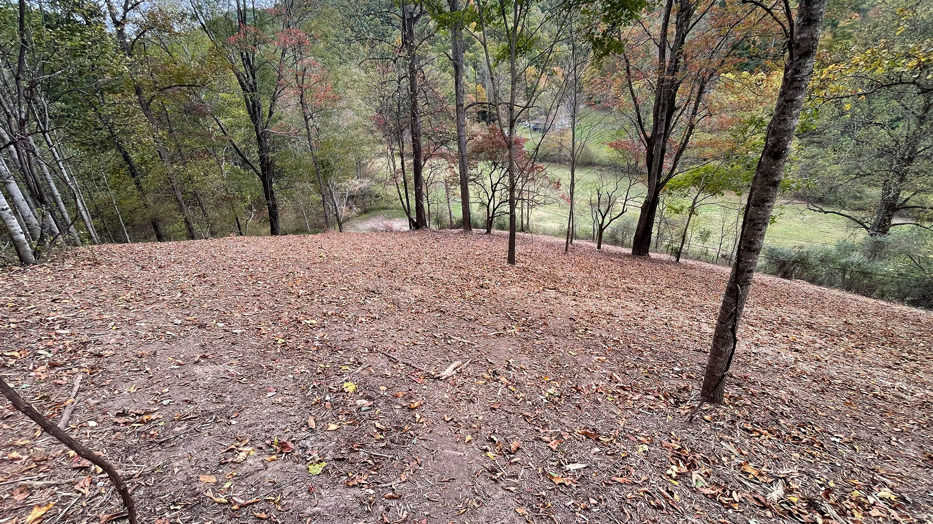 J.O.L.T Land Services, LLC