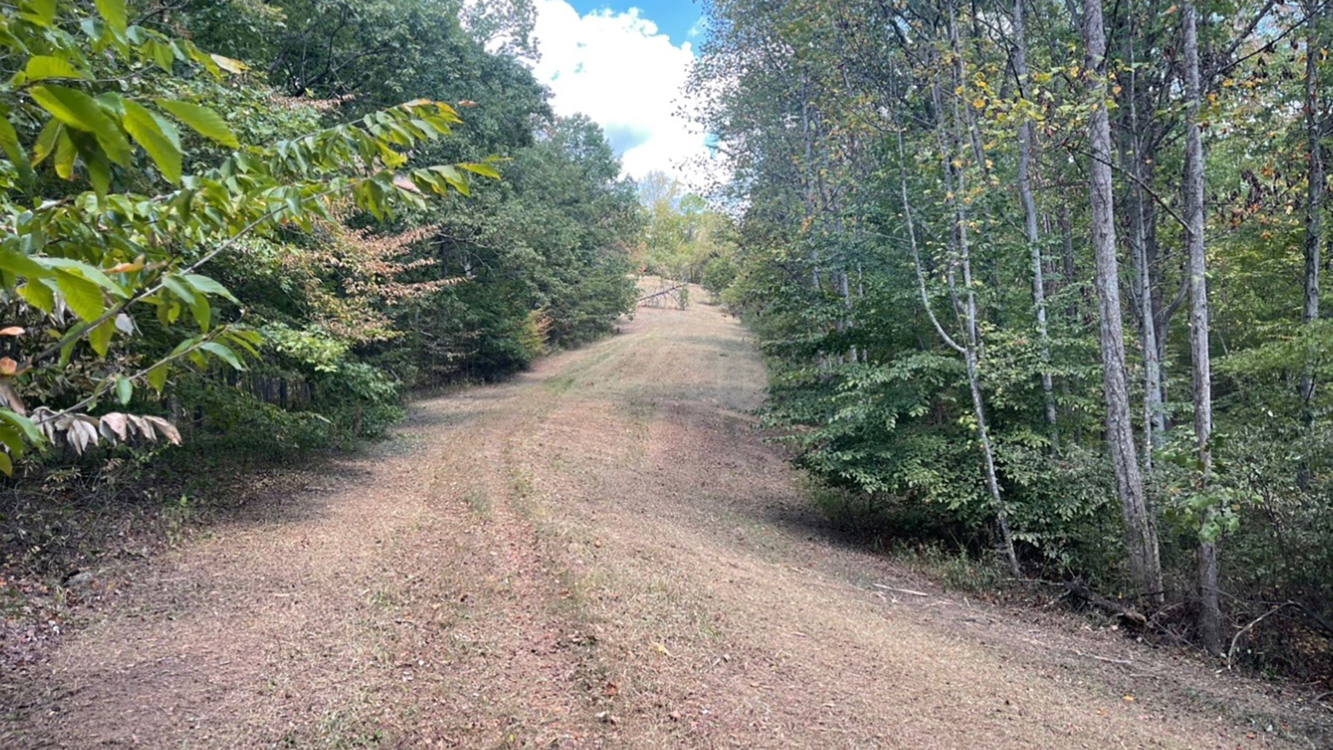 J.O.L.T Land Services, LLC