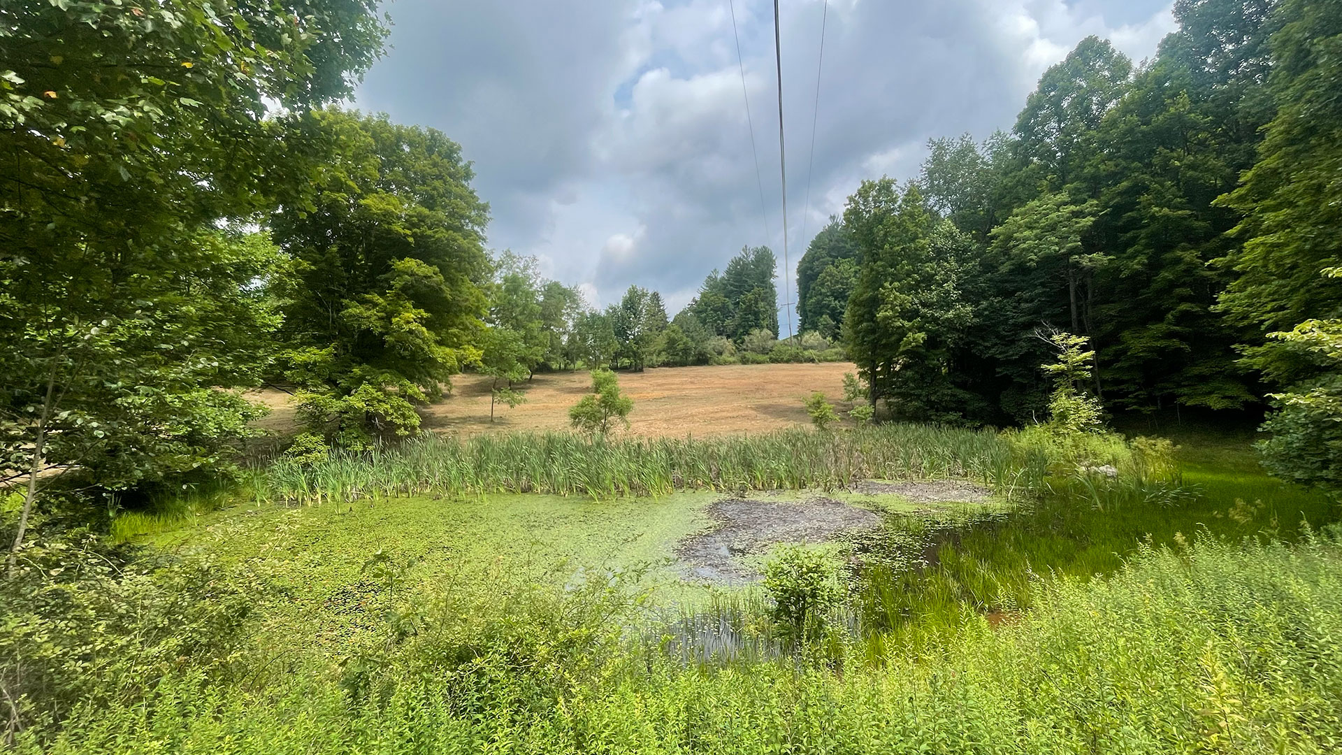 J.O.L.T Land Services, LLC